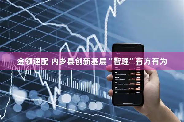 金领速配 内乡县创新基层“智理”有方有为