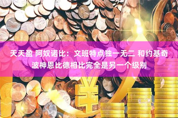 天天盈 阿奴诺比:文班特点独一无二 和约基奇波神恩比德相比完全是另一个级别