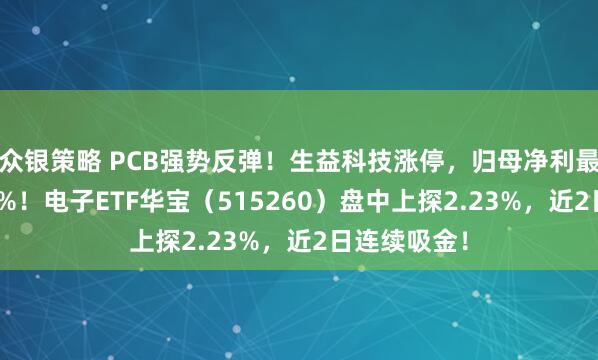 众银策略 PCB强势反弹！生益科技涨停，归母净利最高预增131%！电子ETF华宝（515260）盘中上探2.23%，近2日连续吸金！