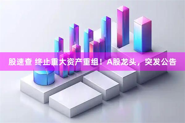 股速查 终止重大资产重组！A股龙头，突发公告